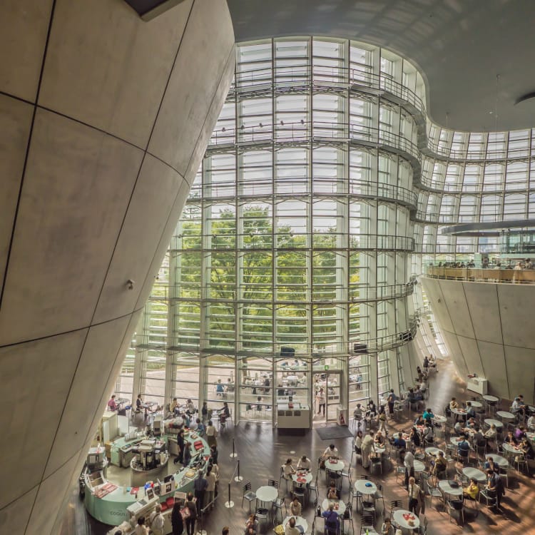 Current & Exhibitions in Tokyo The Official Tokyo Travel