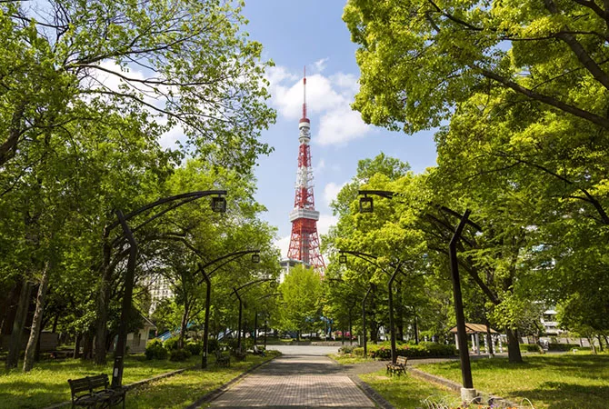 Vista dal parco vicino alla Tokyo Tower