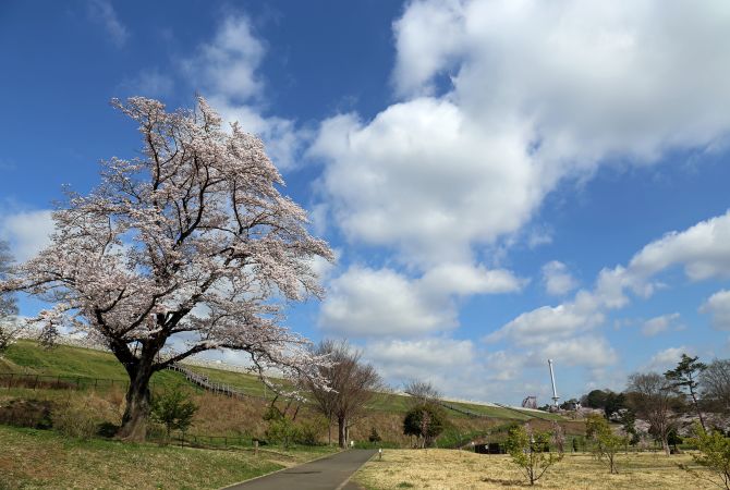 Sayama Park