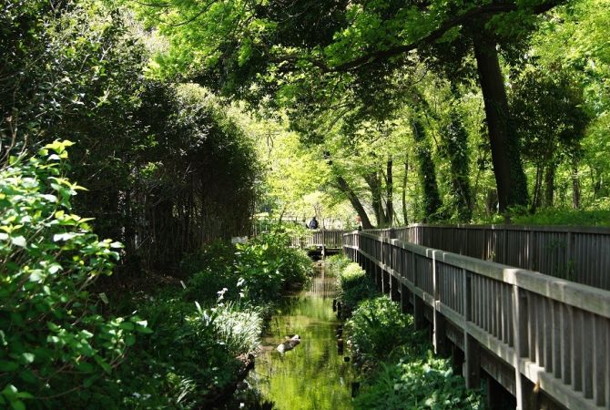 Kiyose Seseragi Park