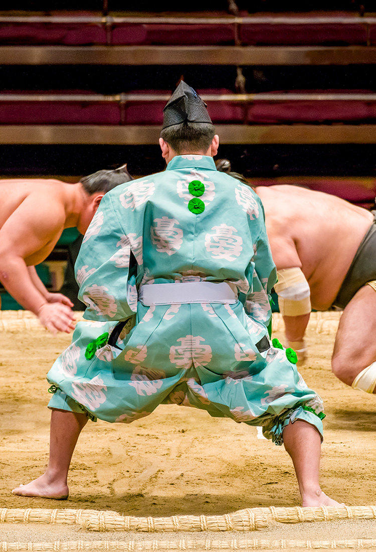 Sports The Official Tokyo Travel Guide, GO TOKYO
