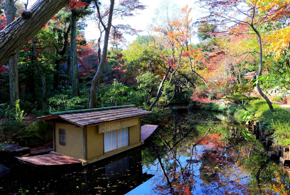 Nezu-Museum / Das offizielle Tourismusportal für Tokyo GO TOKYO