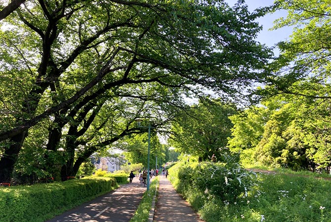 Kunitachi, Tachikawa & Around - Tokyo's biggest park