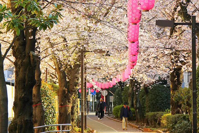 運河のある街 清澄白河ガイド／東京の観光公式サイトGO TOKYO