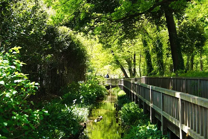清瀬せせらぎ公園／東京の観光公式サイトGO TOKYO