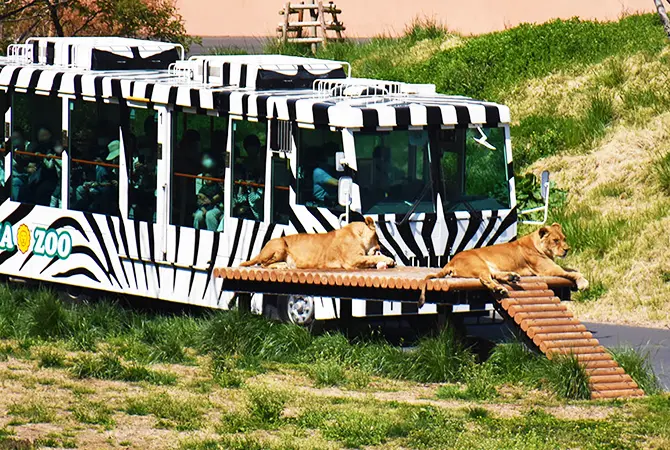 Chofu City Mushakoji Saneatsu Memorial Museum | The Official Tokyo