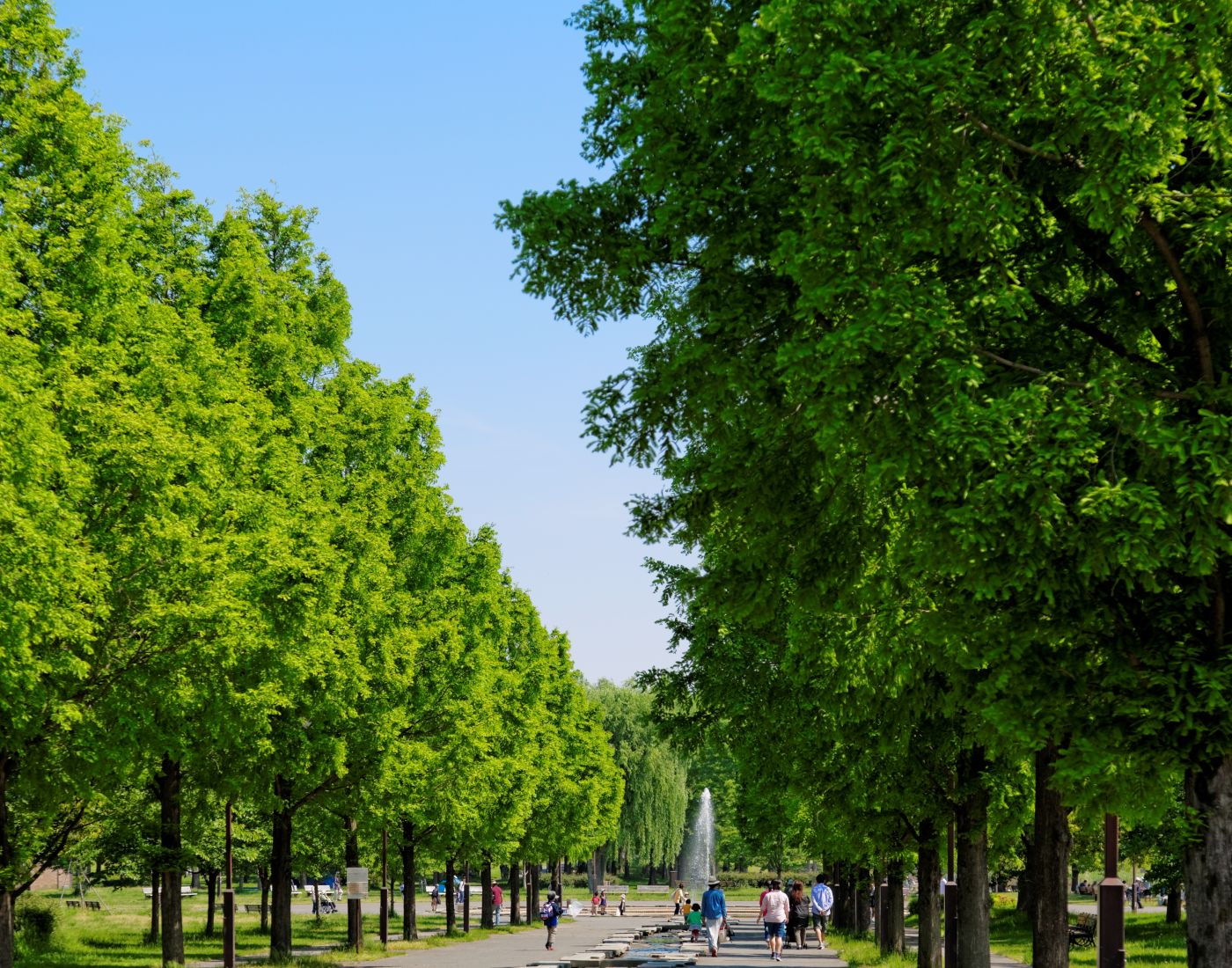 舎人公園 東京の観光公式サイトgo Tokyo