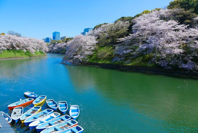 Chidori Ga Fuchi Moat The Official Tokyo Travel Guide Go Tokyo