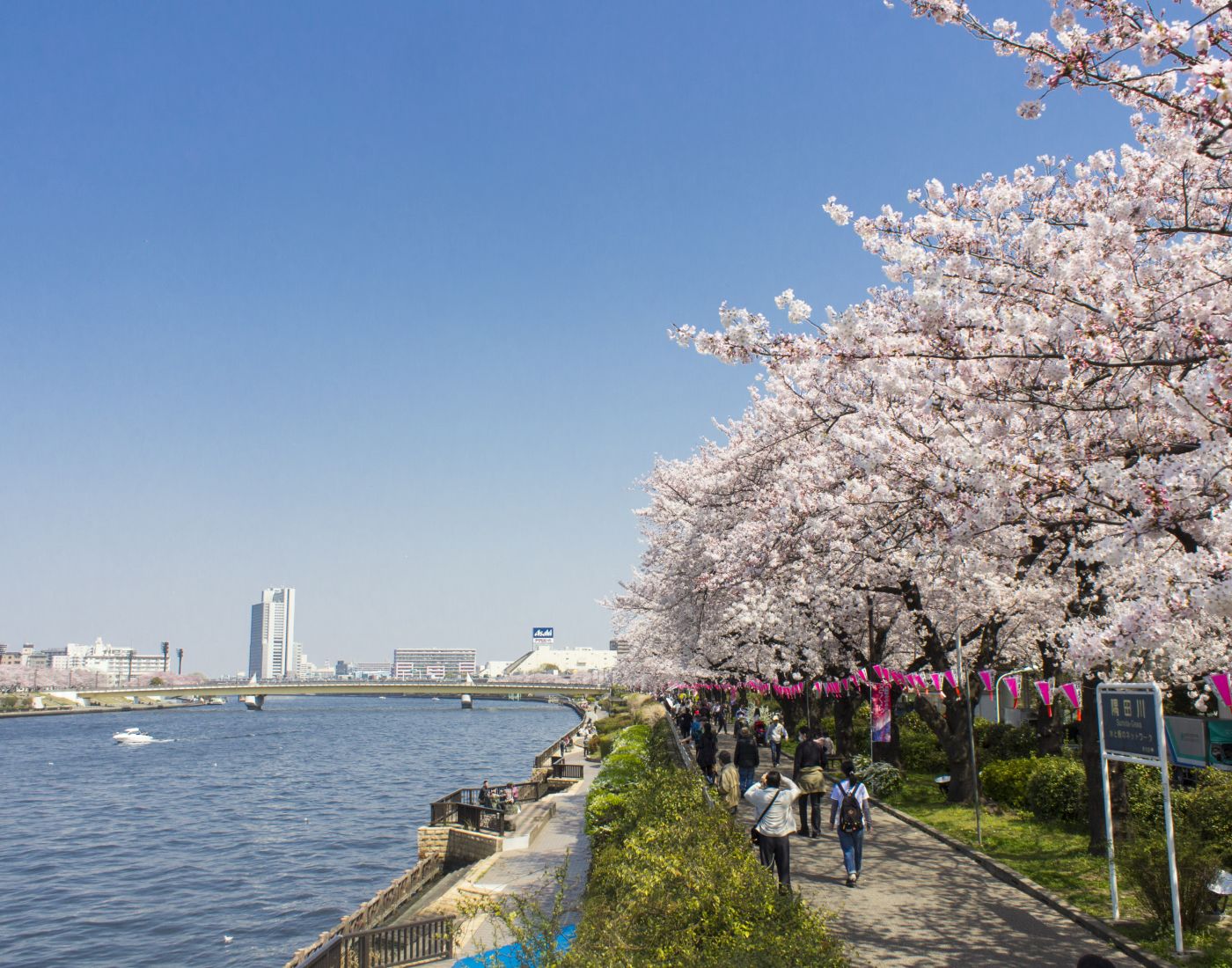 Kunitachi, Tachikawa & Around - Tokyo's biggest park