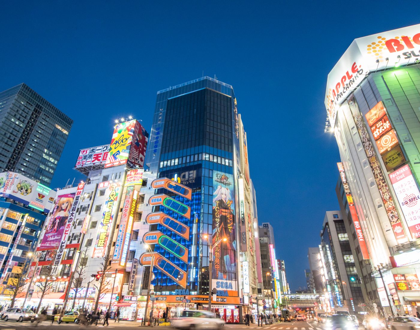 Afternoon in Akihabara Tokyo  Country and a Half