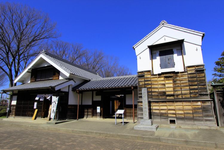 の 森 郷土 府中 季節の花ごよみ｜公益財団法人府中文化振興財団