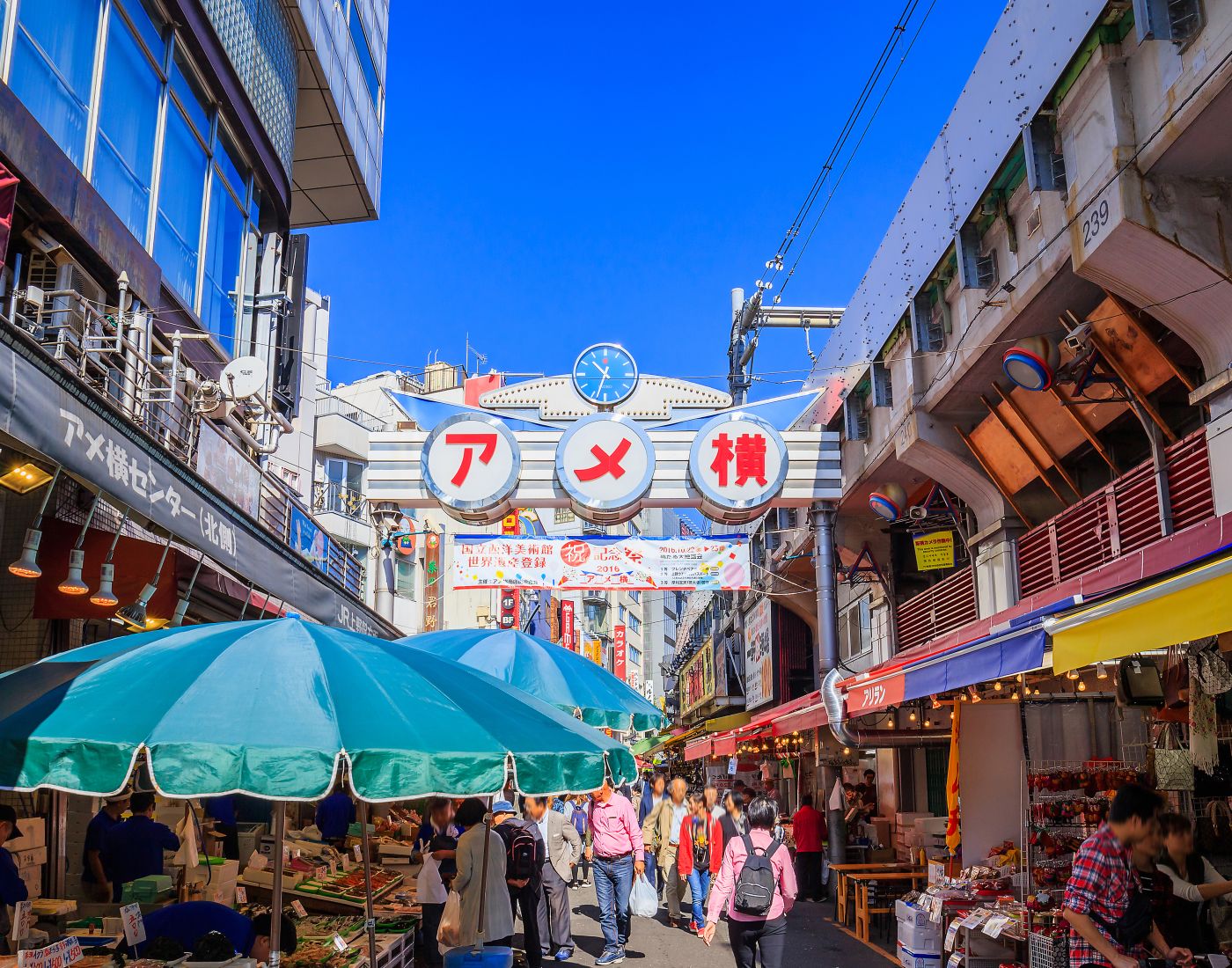 Ameyoko | The Official Tokyo Travel Guide, GO TOKYO