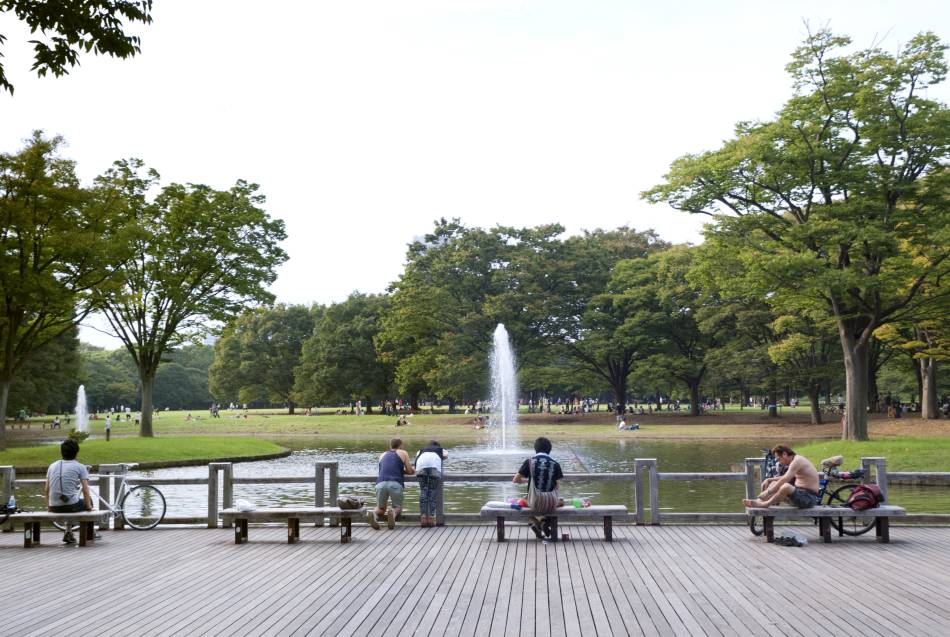 明治神宮 東京旅遊官方網站go Tokyo 明治神宮 東京旅遊官方網站go Tokyo