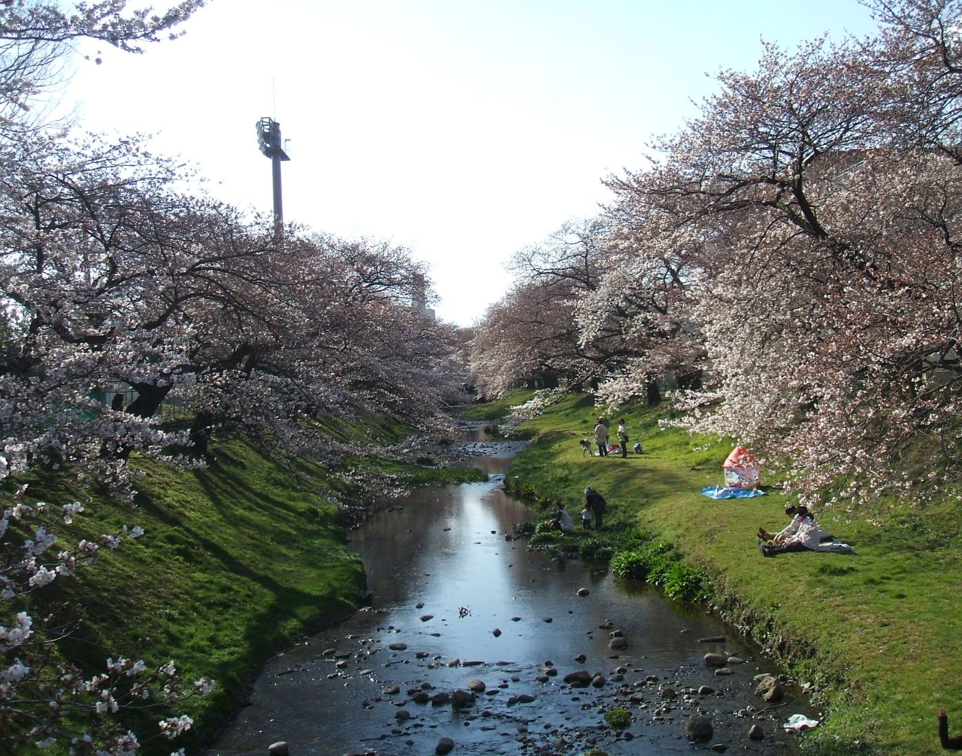 Tachikawa Park  The Official Tokyo Travel Guide, GO TOKYO