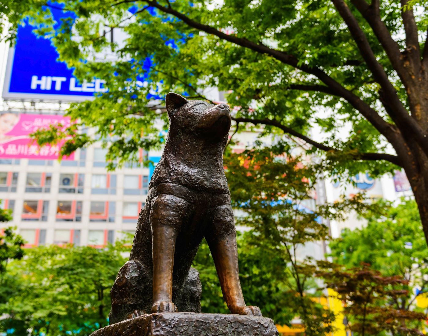 Bronze statue of a dog in a park in Tokyo.