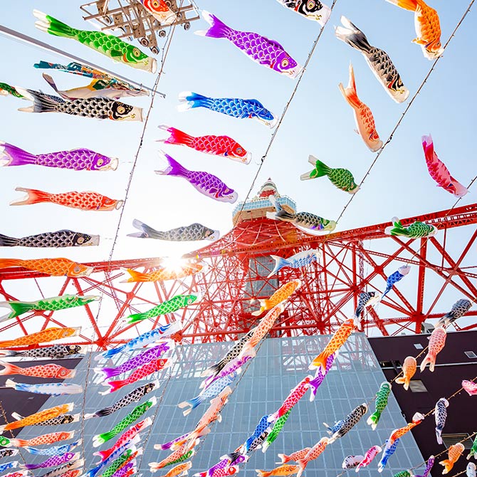 東京タワー 水彩画 こいのぼり付き 東京タワー333匹の「鯉のぼり」と