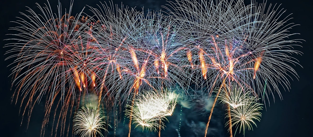 41st Chofu City Fireworks Festival