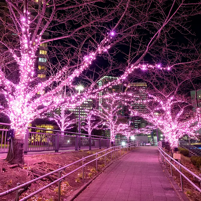 目黒川みんなのイルミネーション2025／東京の観光公式サイトGO TOKYO