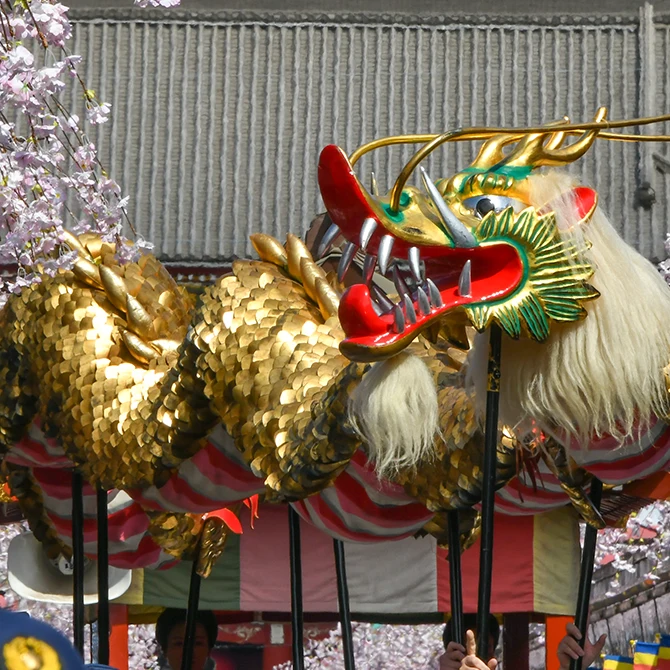 Kinryu-no-Mai (Golden Dragon Dance) | The Official Tokyo Travel