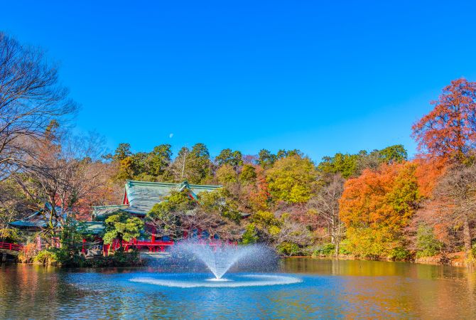 Autumn The Official Tokyo Travel Guide Go Tokyo