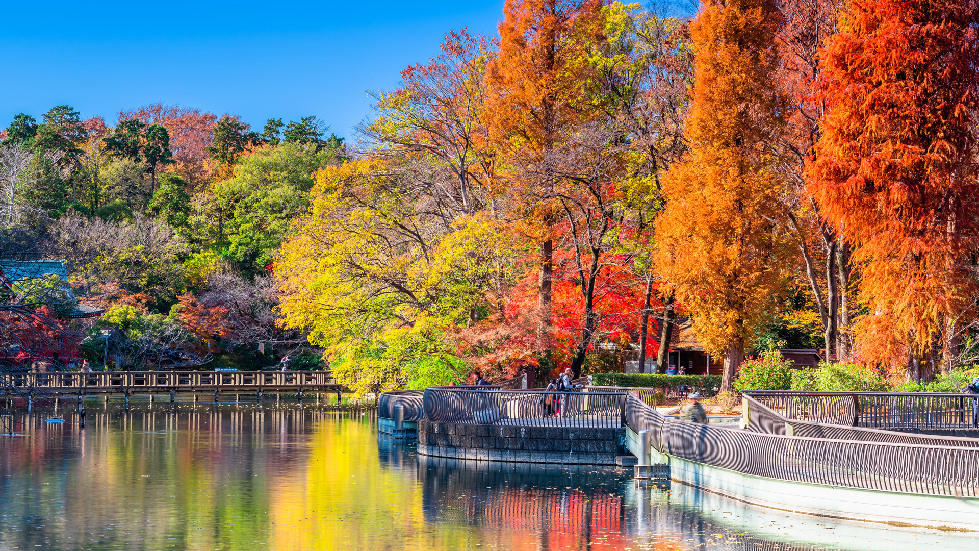 best time to visit tokyo