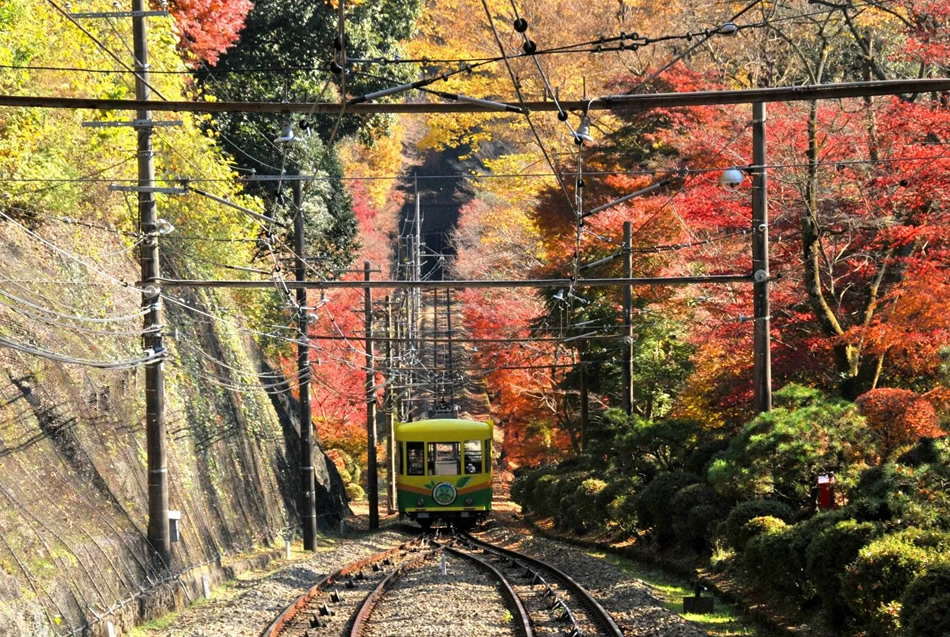 Mt. Takao