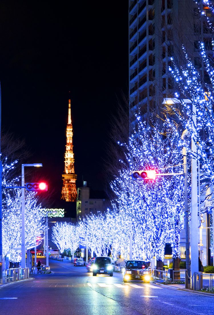 tokyo day trip december