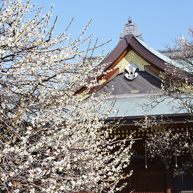 Whats your fav weather in Tokyo?