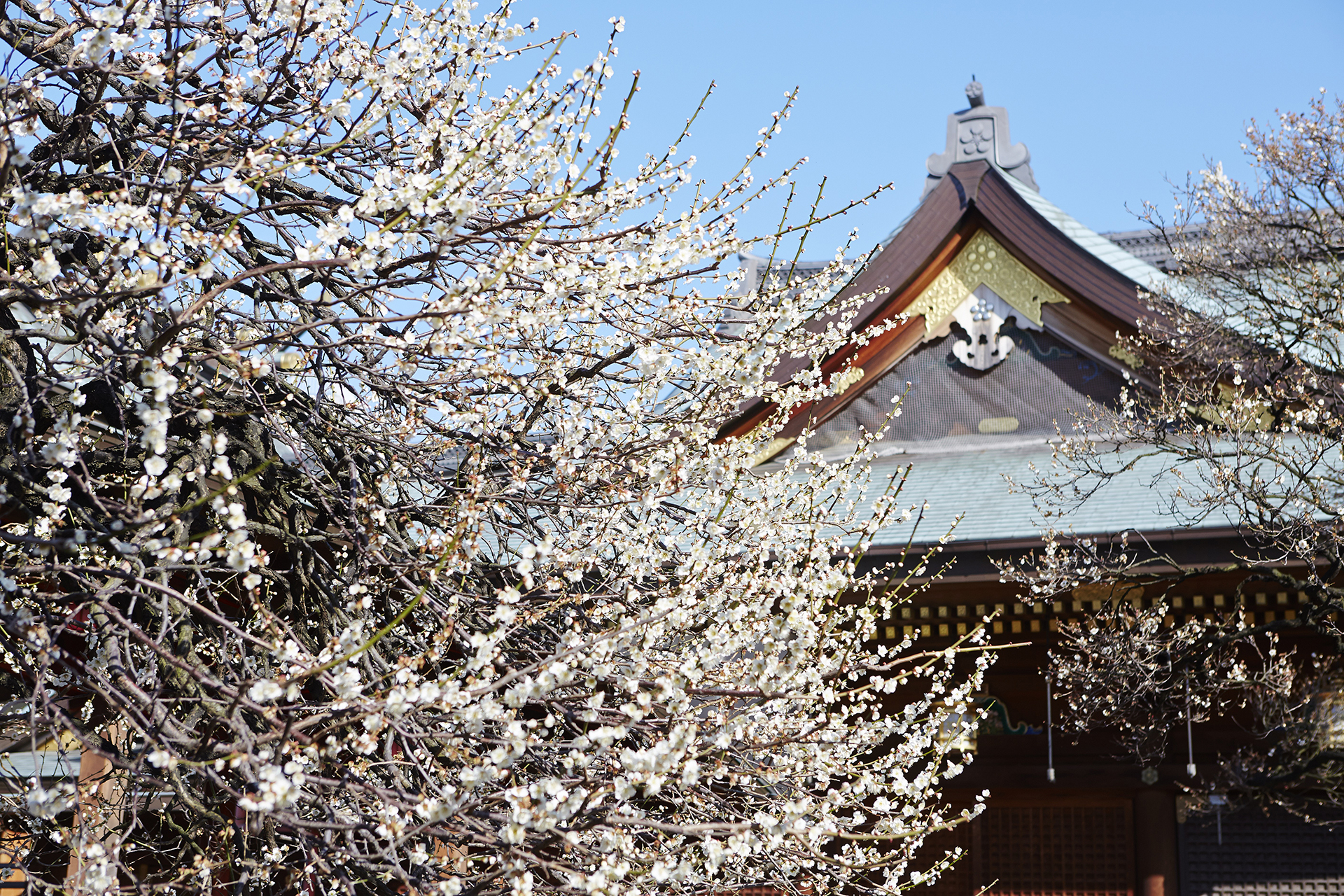 What's the weather like in Tokyo in March?