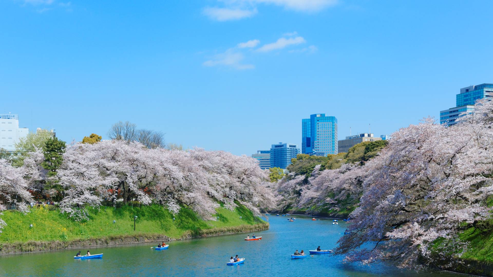 tokyo day trip spring