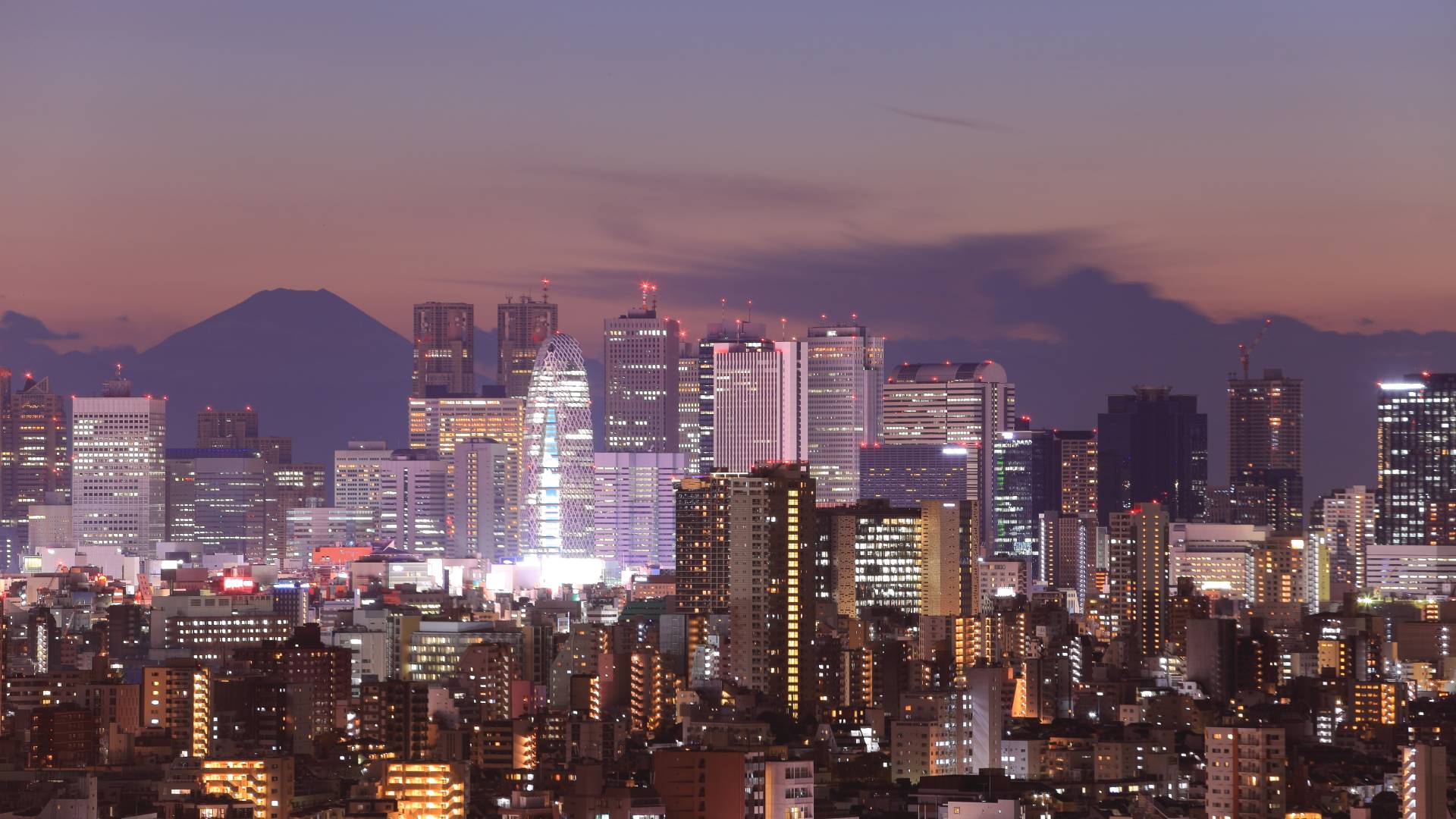 Has Tokyo reached 'peak city'?, Cities