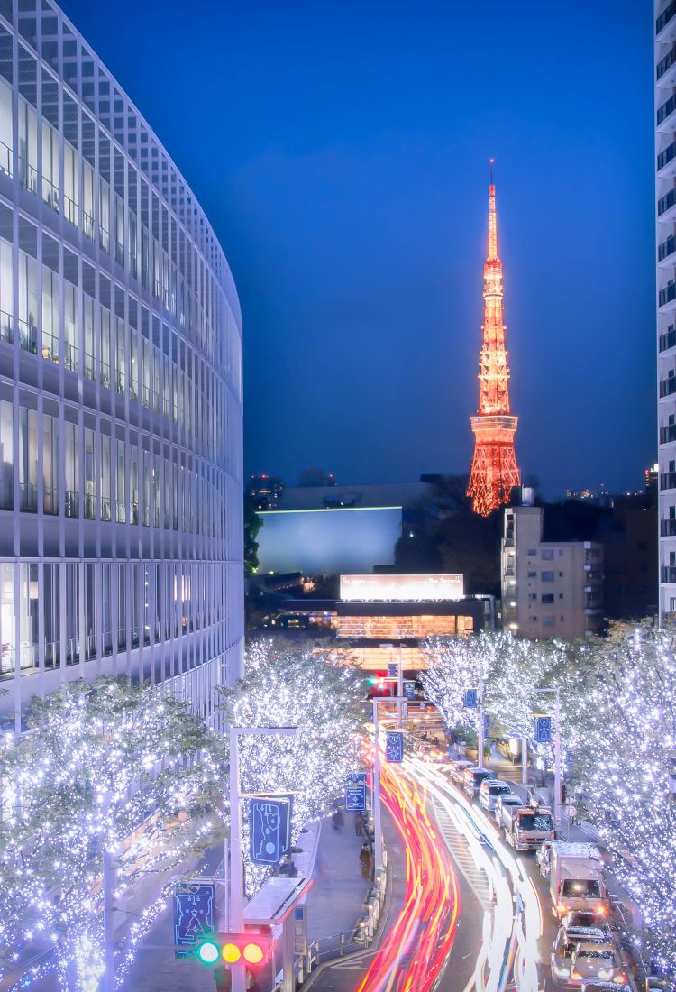 tokyo tourist attractions in winter