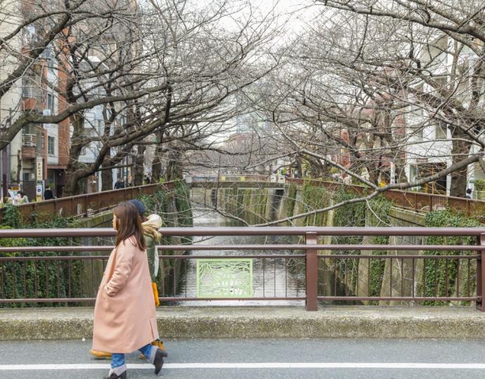 Meguro River