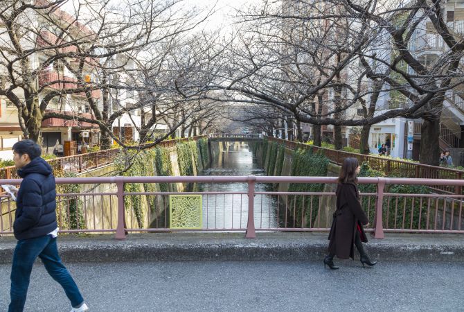 Explore around Nakameguro | The Official Tokyo Travel Guide