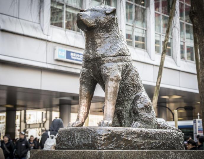 Hachiko Statue