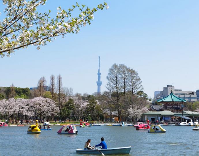 Shinobazu Pond