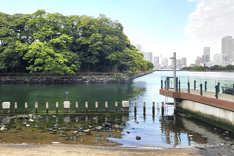 Restoring the natural environment of Tokyo Bay