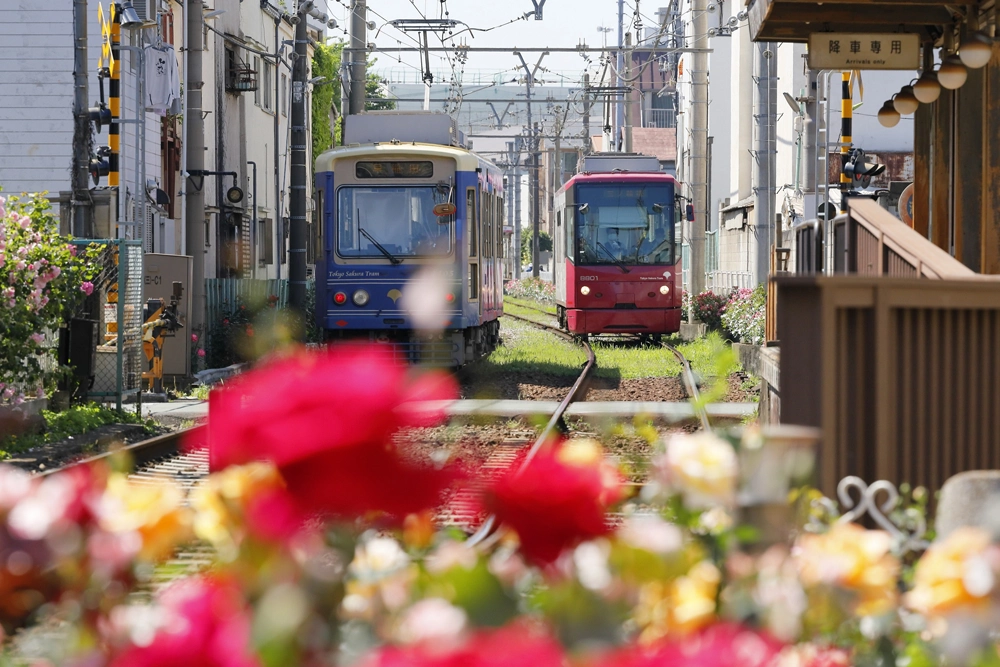 Minowa