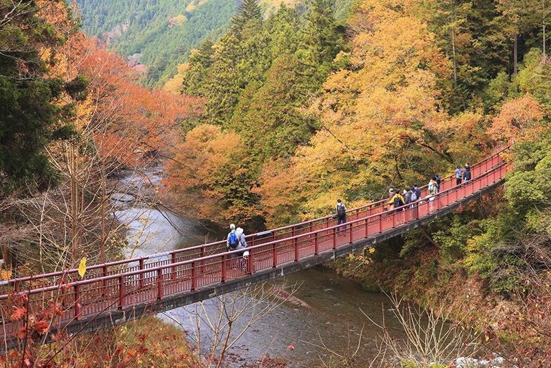 Akigawa Valley