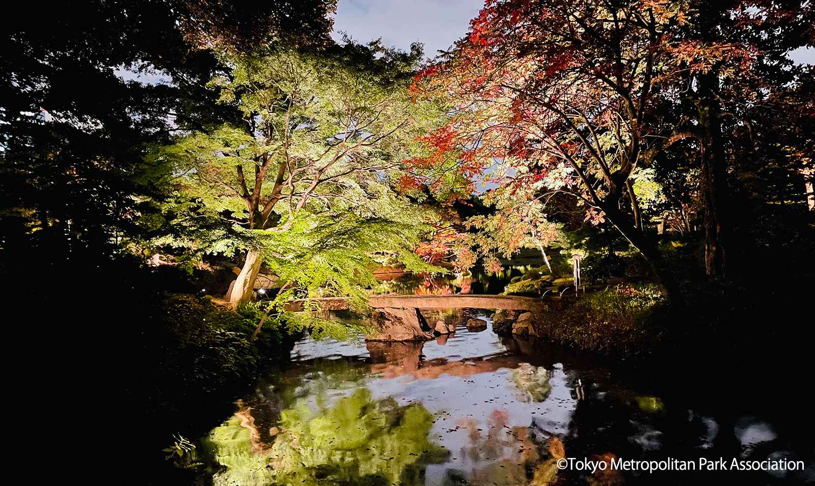 Rikugien Gardens