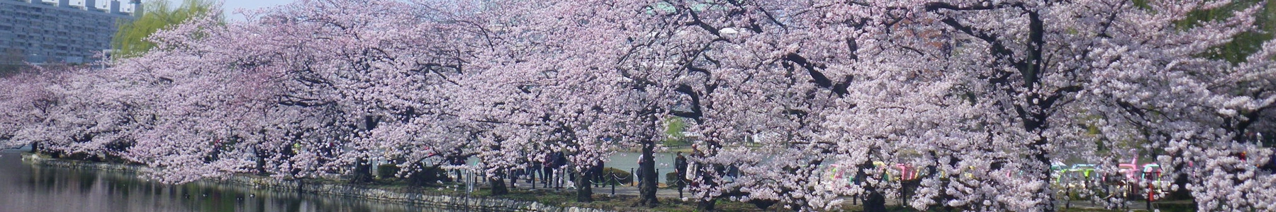 Venture beyond the city to the resort area of “eternal springtime”
Explore Tokyo’s remote islands