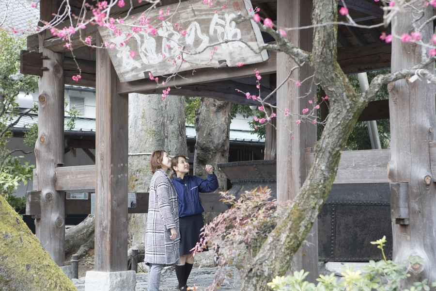 Sake brewery tour