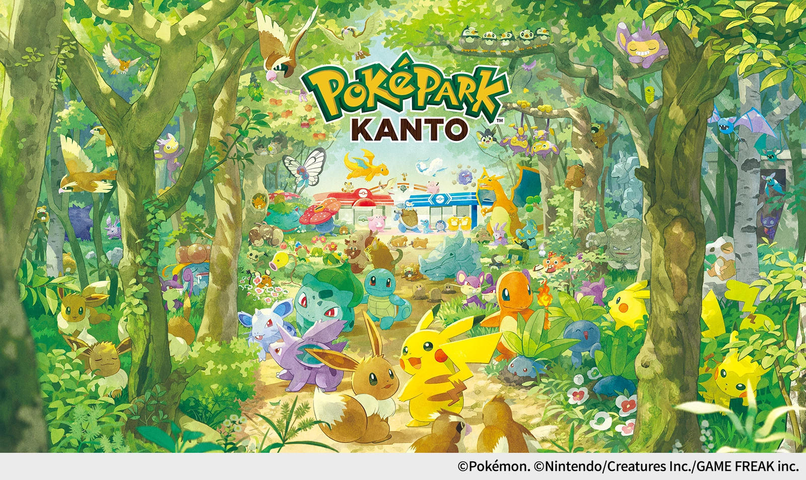 Pokémon