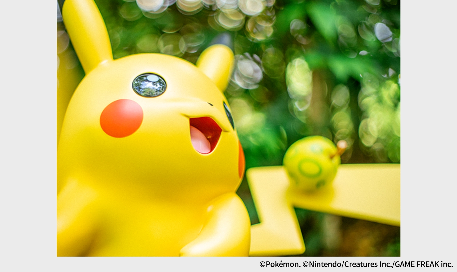 Pokémon