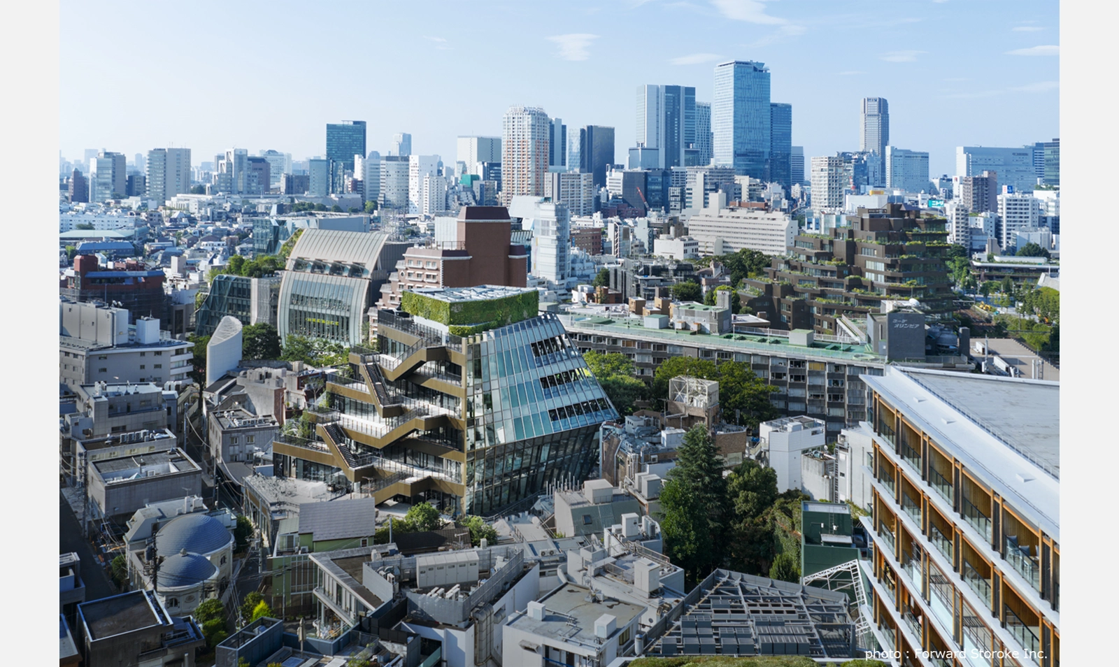 Harajuku Quest
