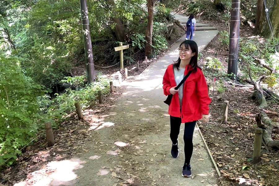 Climb Mt. Takao
