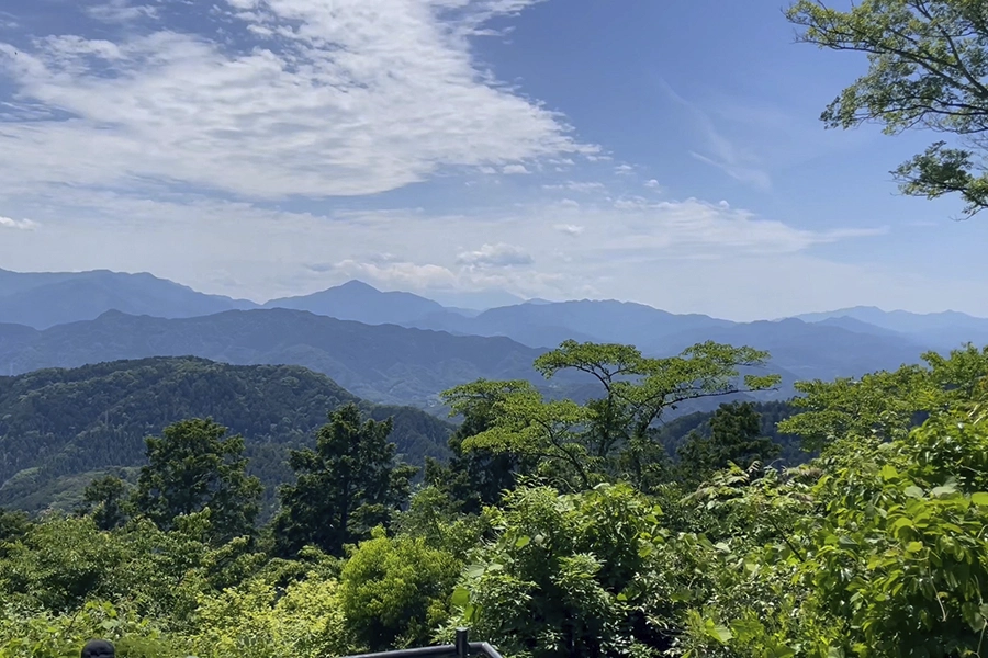 Climb Mt. Takao