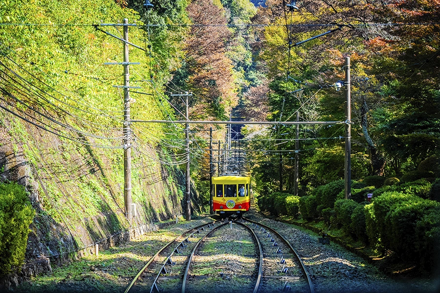Climb Mt. Takao