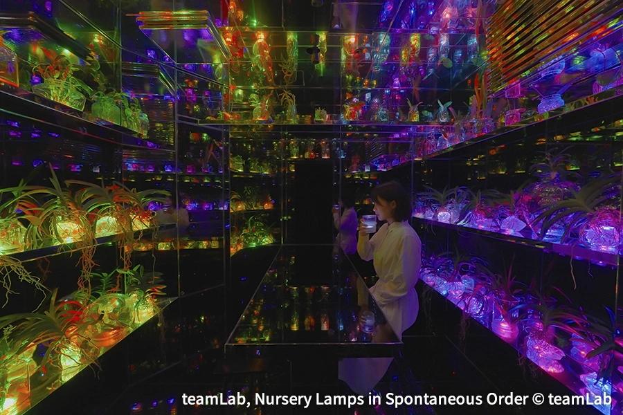 teamLab