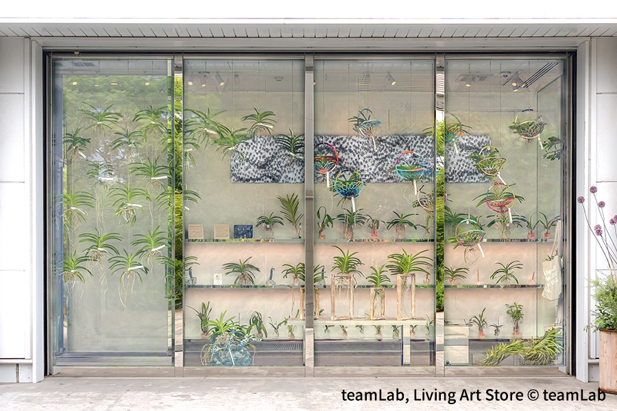 teamLab